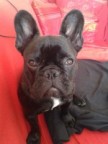 Mickys Avatar