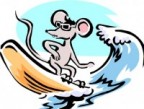 surfmauss Avatar