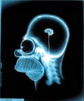 mr.xrays Avatar