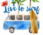 surfboxs Avatar