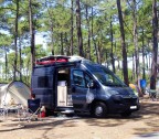 euroliners Avatar