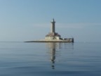 awalos Avatar