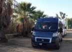 DriveAndCamps Avatar