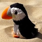 Puffys Avatar
