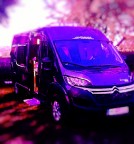 syberbrunos Avatar